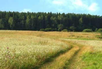 земля д Устиново Пермь фото