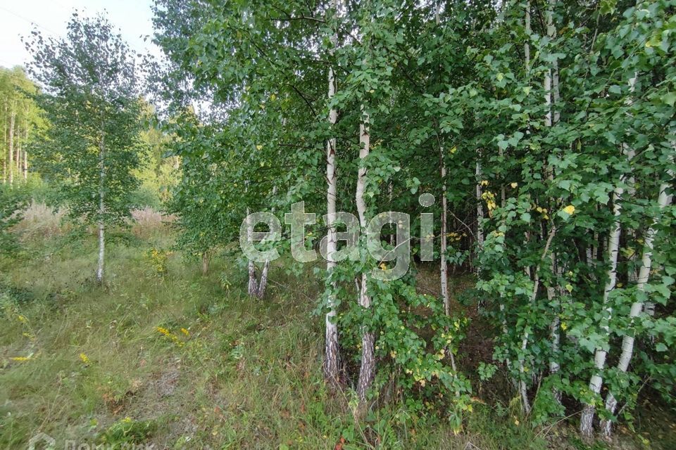 земля Озерский городской округ, НСТ Акакуль фото 6