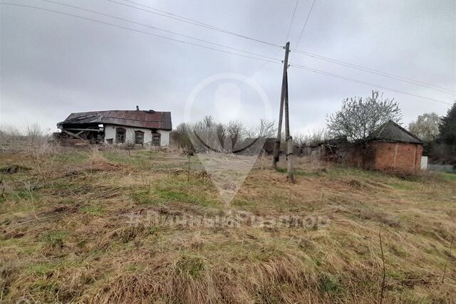 земля с Николо-Скопин ул Центральная 2 фото