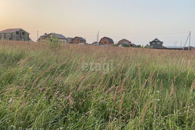 Берсеневское сельское поселение, посёлок Чекаевский фото