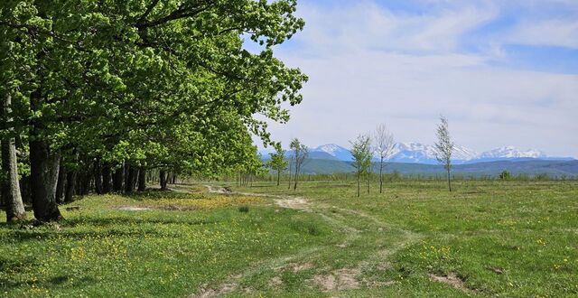 Хадыженское городское поселение фото