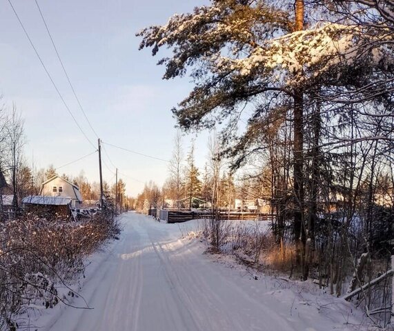 р-н Маймаксанский округ Повракульский, остров фото