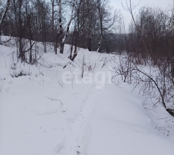 земля г Томск ул Ломоносова городской округ Томск фото 5