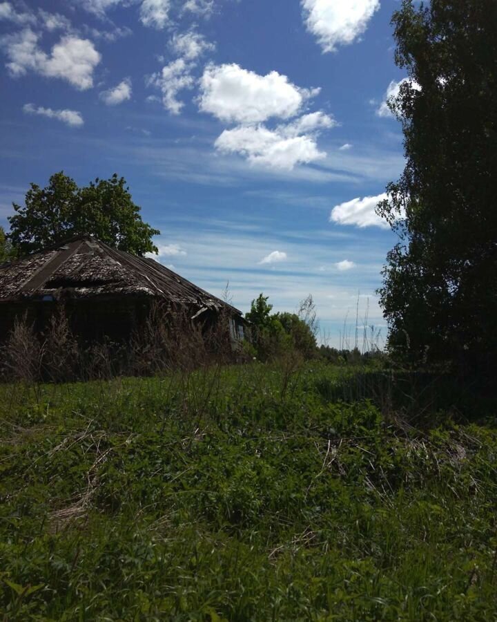 земля р-н Галичский д Ильинское Дмитриевское сельское поселение, Чистые Боры фото 3