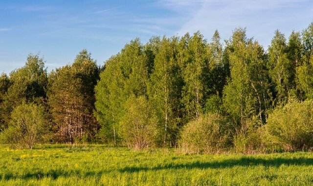 Павловская Слобода, Посёлок фото