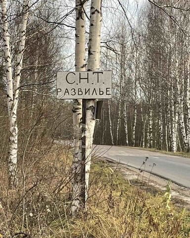 с Линда СНТ Развилье фото