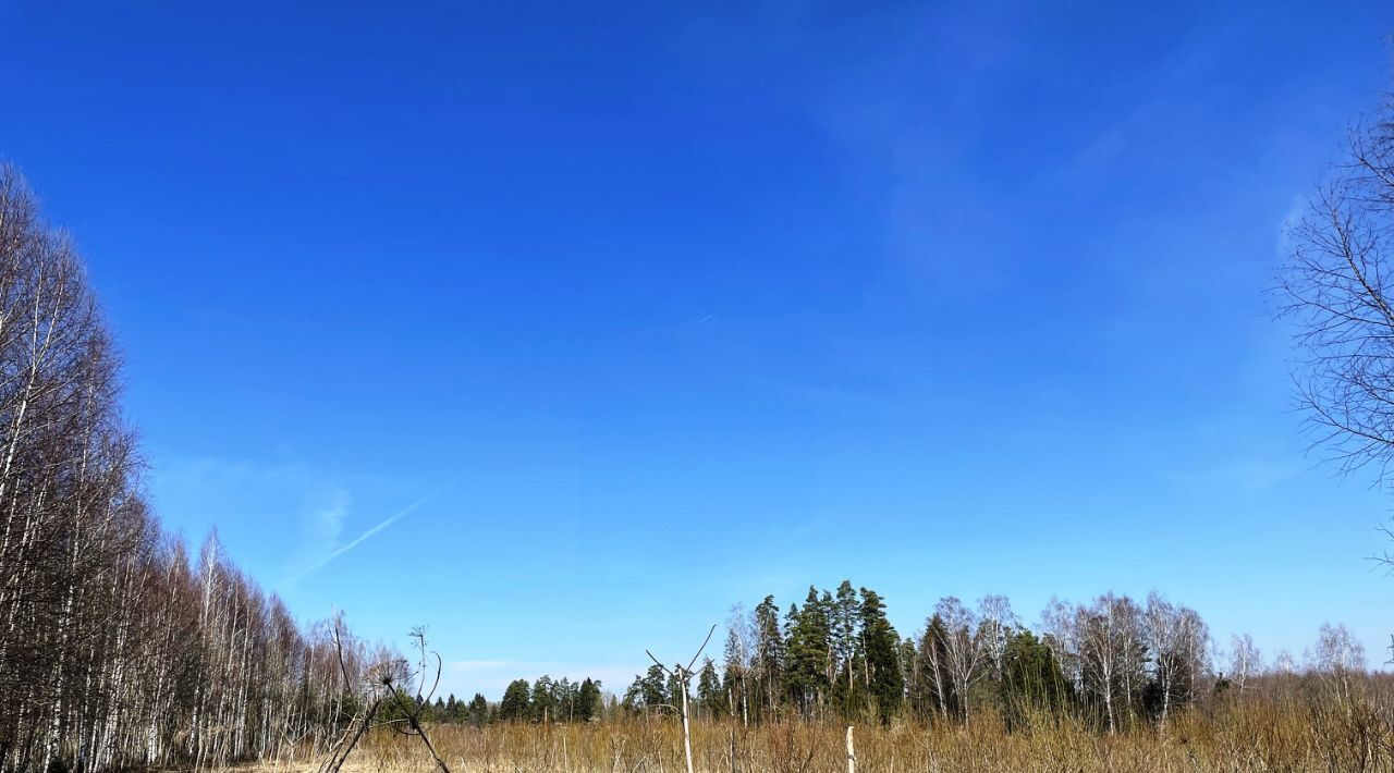 земля городской округ Солнечногорск д Новая фото 8