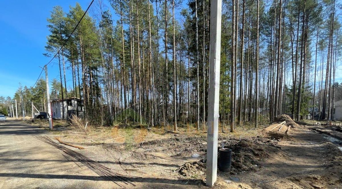 земля р-н Всеволожский Сертоловское городское поселение, Дворянская Усадьба кп, 11-я линия фото 4