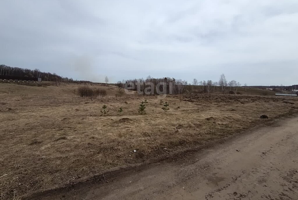 земля г Калуга Р-132, обход города Калуга от М-3 Украина, 55-й километр фото 5