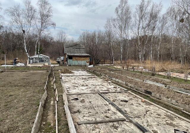 садоводческое товарищество Базки, Хабаровск фото