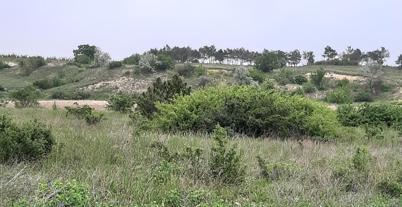 земля р-н Бахчисарайский г Бахчисарай Железнодорожненское сельское поселение фото 2