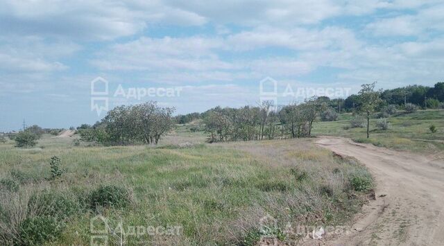 пгт Солнечный р-н Краснооктябрьский Волгоград, ул. Плодовая фото