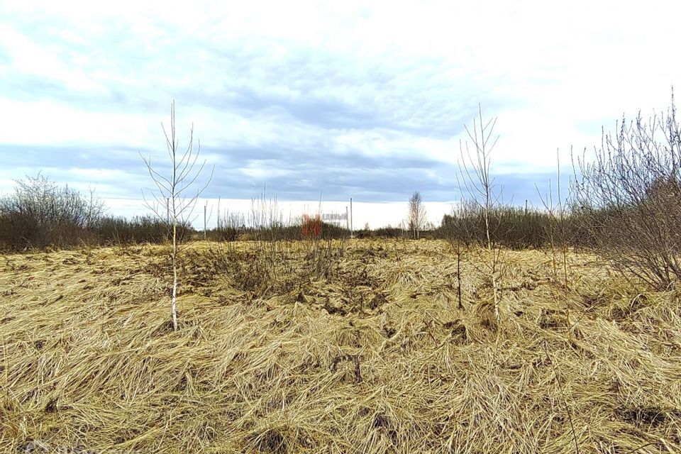 земля г Тюмень городской округ Тюмень, Ленинский округ фото 7