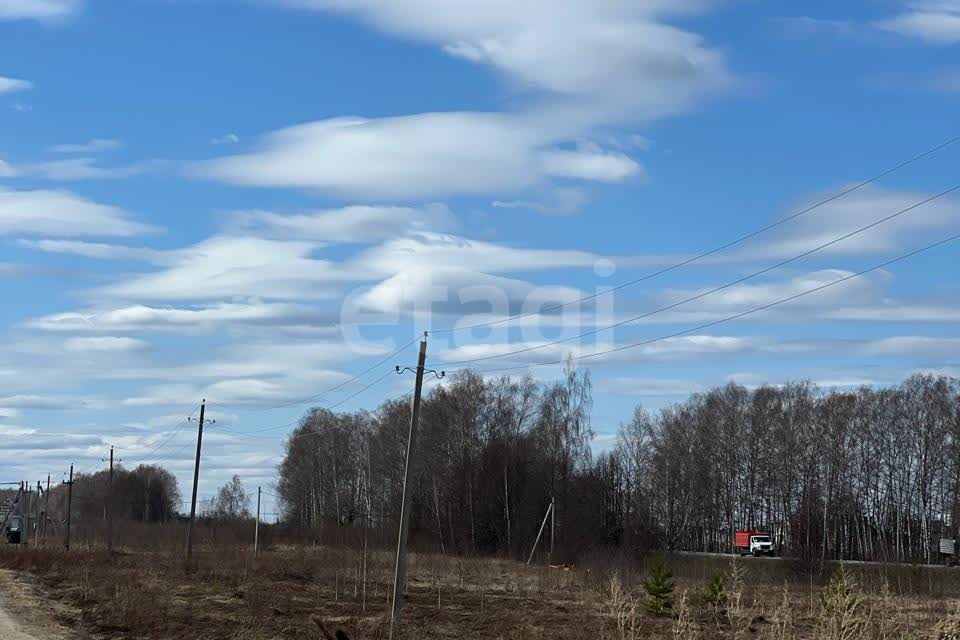 земля р-н Медведевский снт Рябинка 230 фото 7