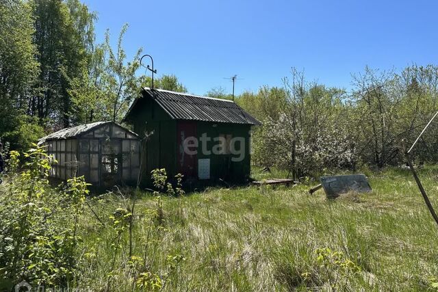 городской округ Коломна, садовое товарищество Дружба фото