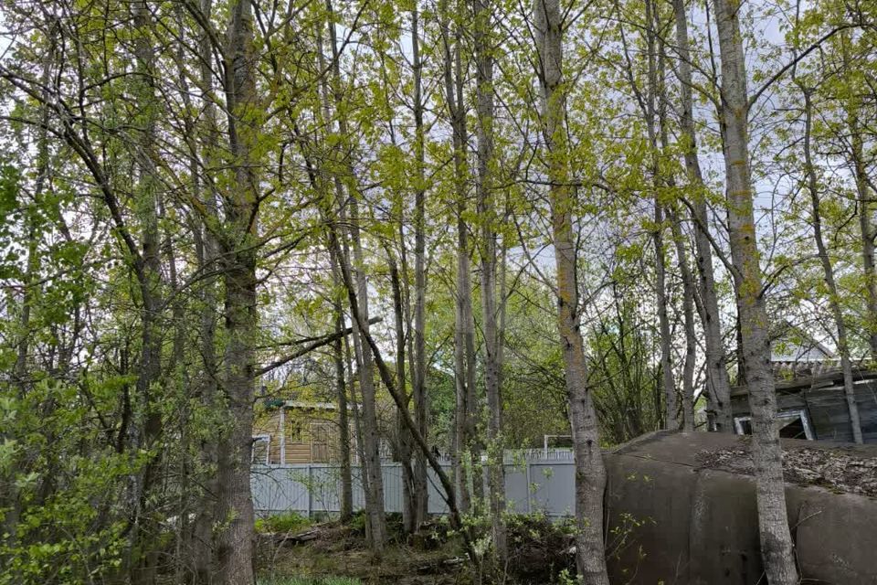 земля городской округ Орехово-Зуевский Центральная линия, садовое товарищество Вертолёт фото 5
