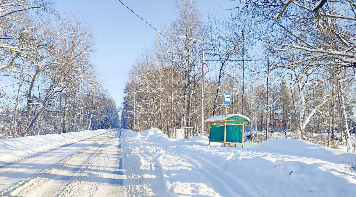 земля городской округ Богородский г Ногинск снт Ветеран-2 фото 8