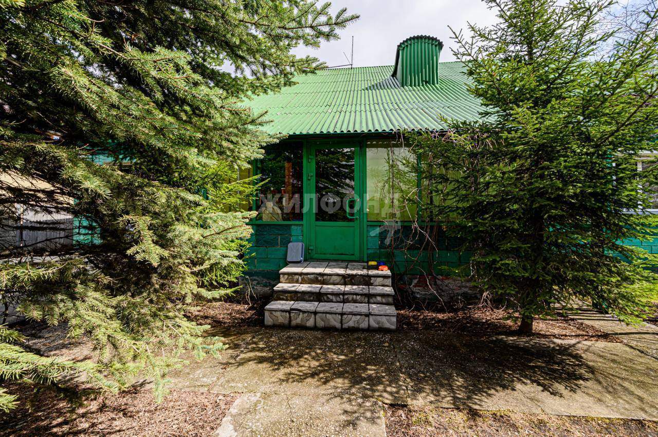 дом г Новосибирск мкр 1-й Памирский Берёзовая роща фото 1