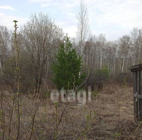 снт Казачья Поляна Миасский городской округ фото