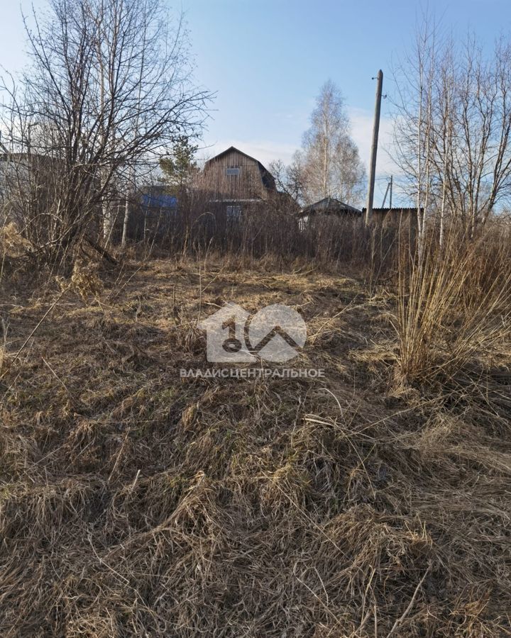земля г Новосибирск Золотая Нива ул Бугринская 33 НСТ Ветеран фото 4