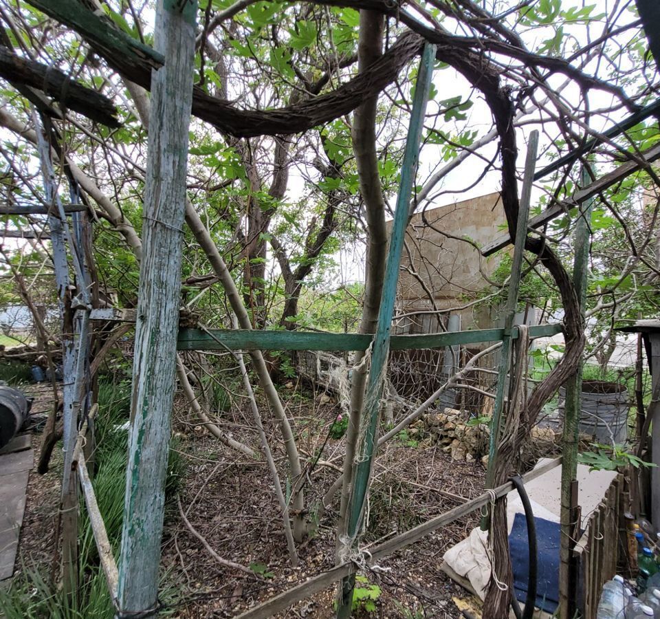 земля г Севастополь садоводческое товарищество Голубой залив, 79, Крым фото 4