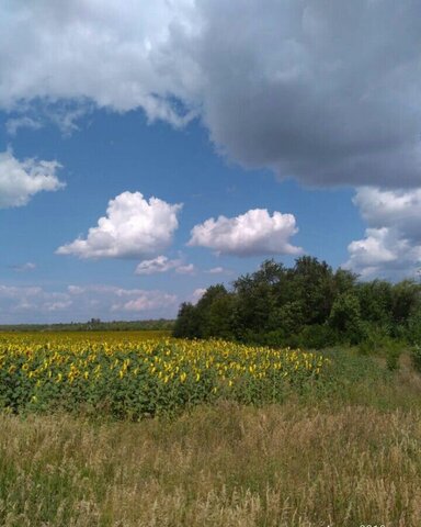 земля Новокуйбышевск фото