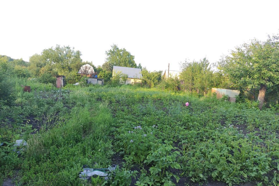земля г Пенза городской округ Пенза, садовое некоммерческое товарищество Весна фото 3
