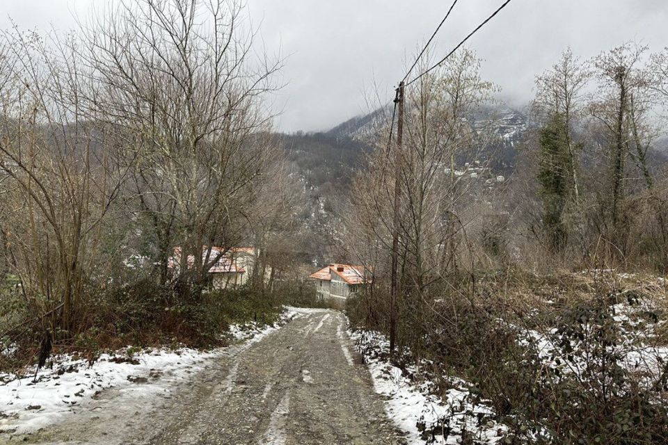 земля г Сочи с Пластунка городской округ Сочи, садоводческое товарищество Горизонт-3 фото 2