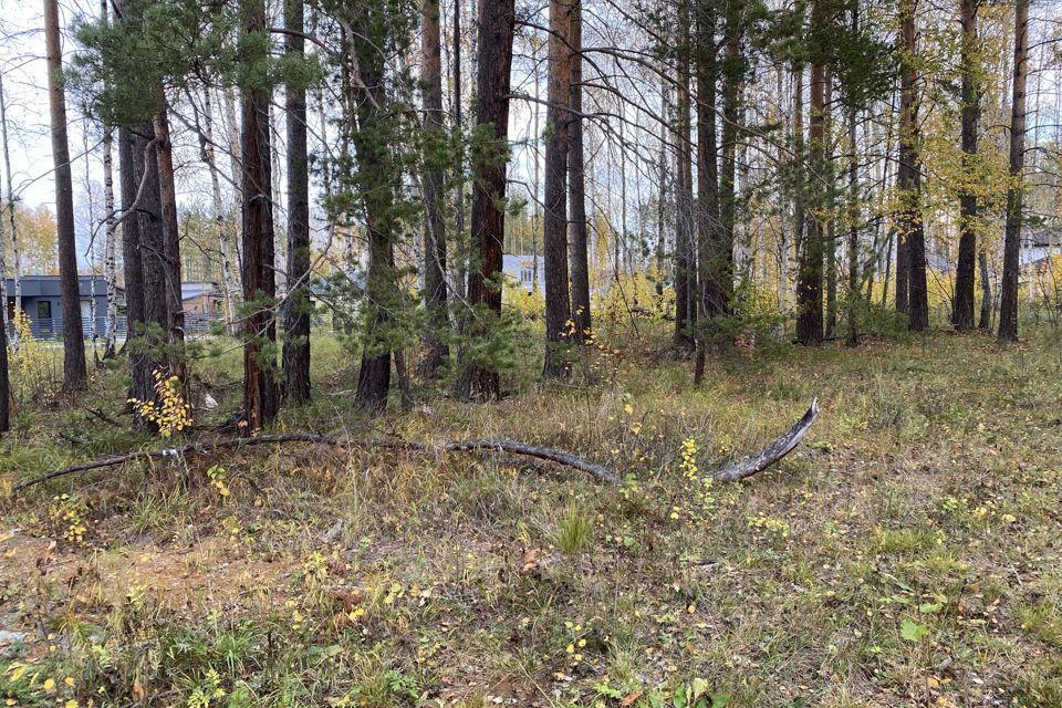 земля р-н Сысертский коттеджный посёлок Заповедник, квартал Косуля, 107 фото 5