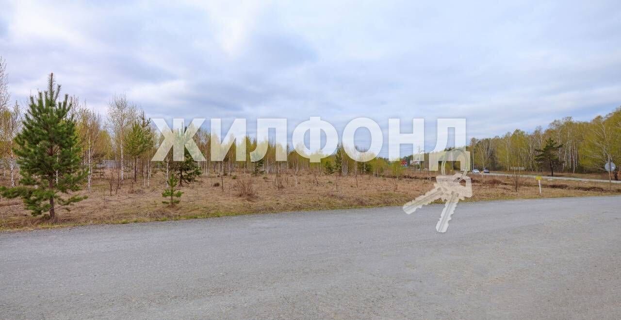 земля г Новосибирск ш Краснояровское фото 22