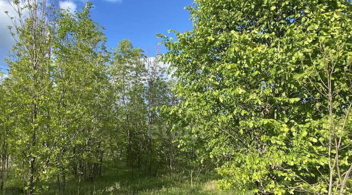 земля р-н Старооскольский с Озерки ул Почтовая Старооскольский городской округ фото 5