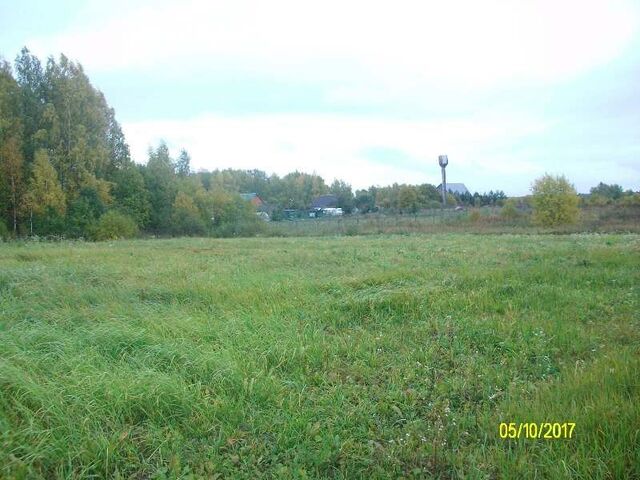 земля деревня Борисово фото