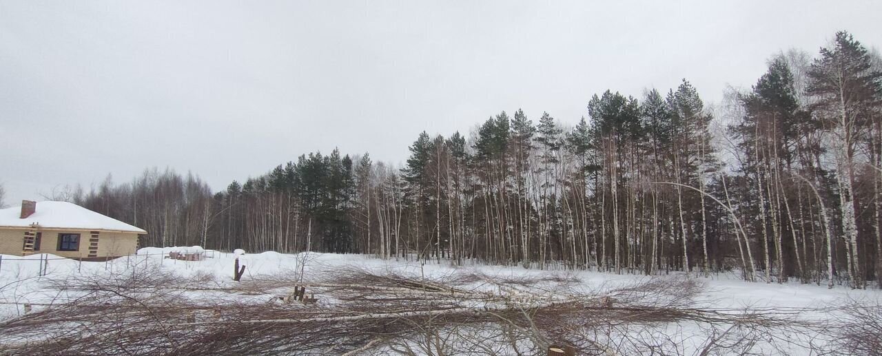 земля р-н Богородский г Богородск ул Курыжова фото 1