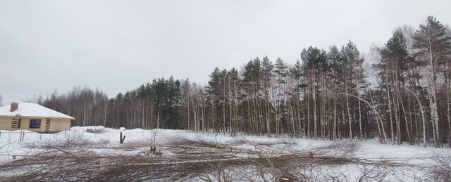 земля р-н Богородский г Богородск ул Курыжова фото