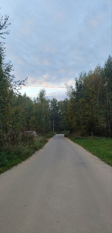 земля р-н Богородский г Богородск ул Курыжова фото 3