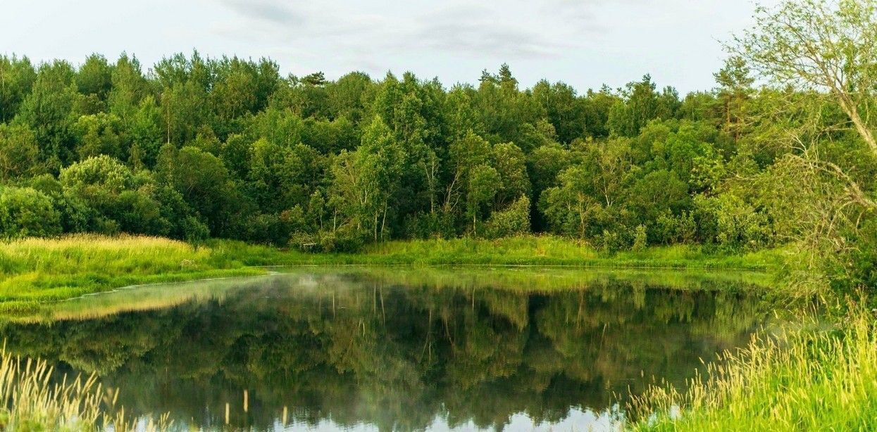 земля р-н Тосненский д Ладога Федоровское городское поселение фото 33