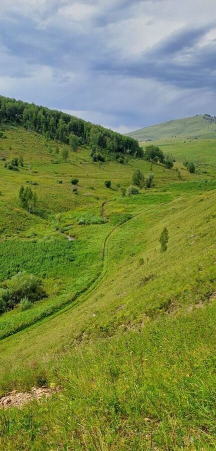 земля р-н Алтайский Республика Алтай, Горно-Алтайск фото 8