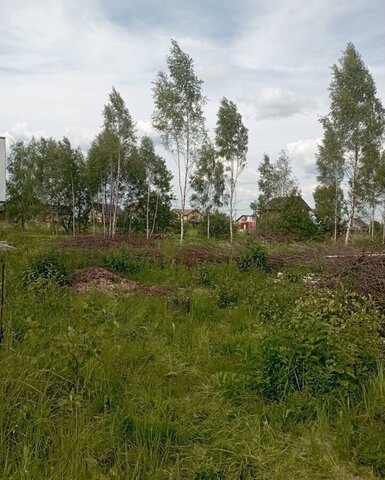 земля жилой квартал Новые Ткачи Карабихское сельское поселение, Ткачи фото