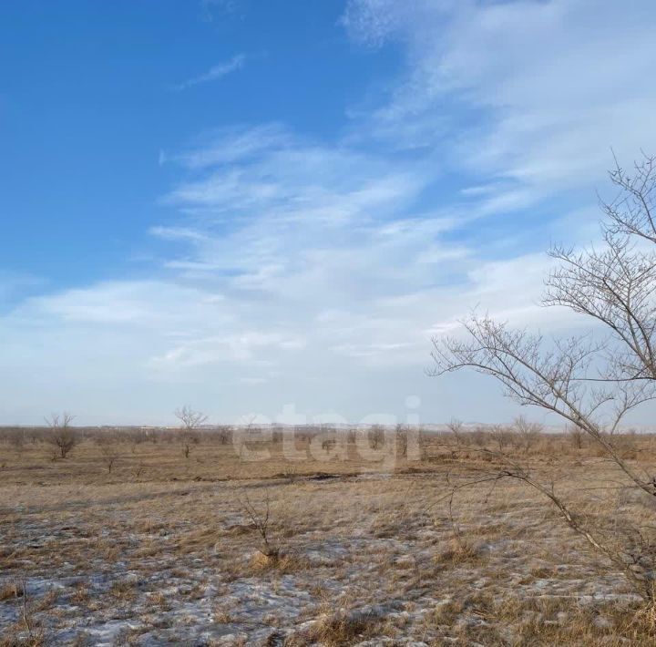 земля р-н Усть-Абаканский с Зеленое ул Мелиораторов фото 4