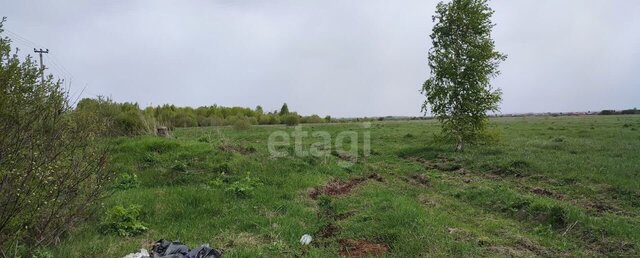 земля Пекшиксолинское сельское поселение, Йошкар-Ола фото