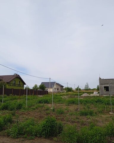 земля Янтарный, Зеленоградский муниципальный округ фото