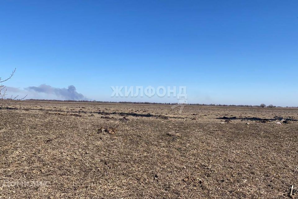 земля р-н Володарский село Верхние Колки фото 3