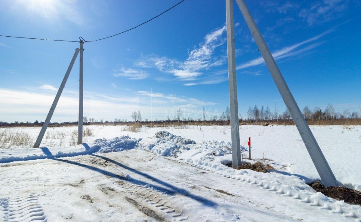 земля г Тюмень р-н Центральный снт Липовый остров ул 1-я Западная фото 19