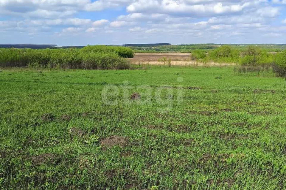 земля р-н Рамонский с Гвоздёвка ул Дзержинского фото 4