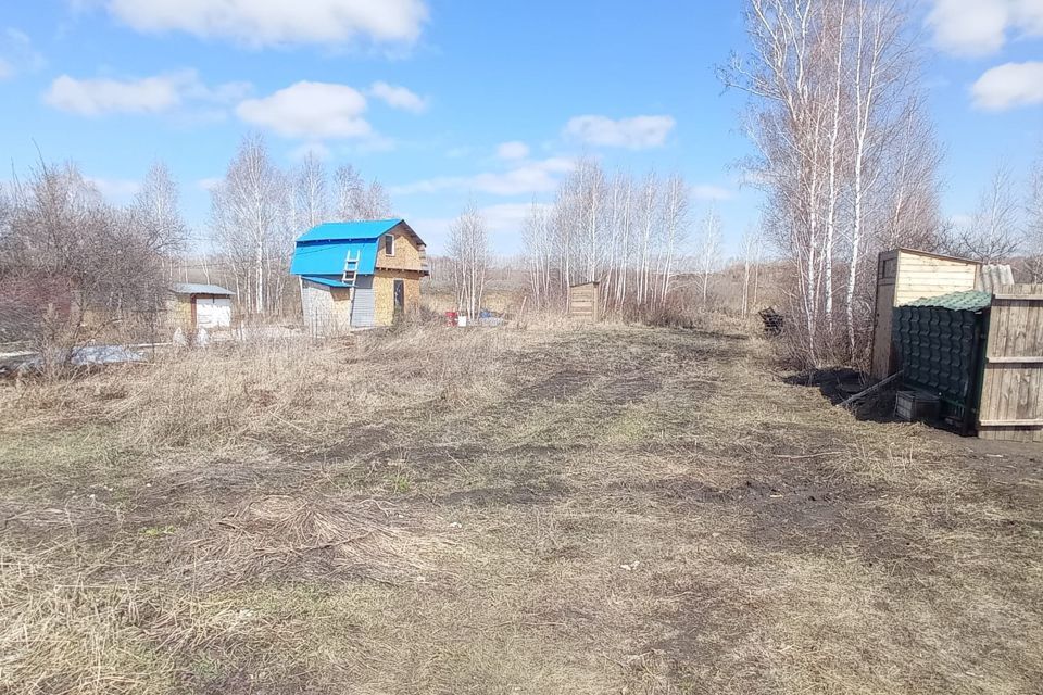 земля р-н Новосибирский садовое товарищество Оксид фото 4