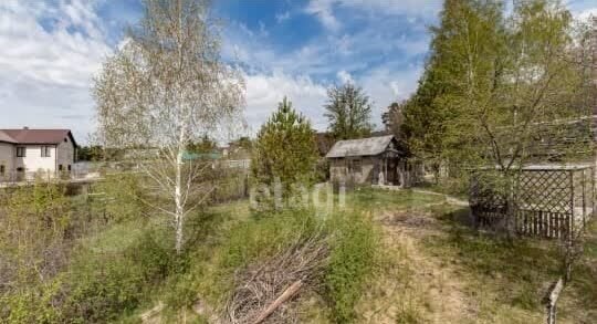 земля г Барнаул р-н Центральный Ерестной фото 1