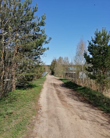 Бурашевское сельское поселение, садовое некоммерческое товарищество Тверьснаб, Тверь фото