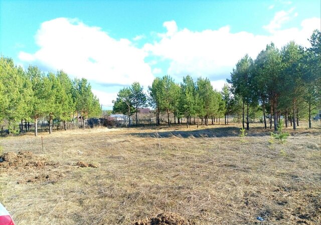 земля снт Борок Каенлинское сельское поселение, Нижнекамск фото