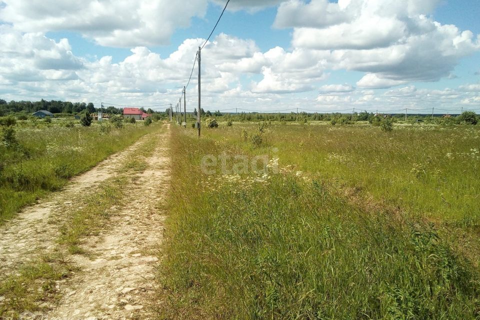 земля р-н Шимский рп Шимск Р-56, 49-й километр фото 1