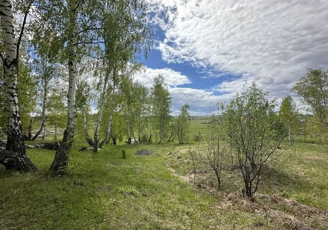 снт Восход Малошильнинское сельское поселение, Набережные Челны фото